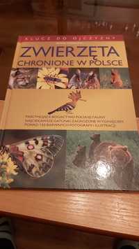 Książka Zwierzęta chronione w Polsce