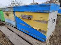 Пчелосемьи, 300я рамка