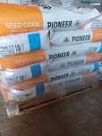 ORYGINALNA !!! Kukurydza nasiona MAS DKC PIONEER