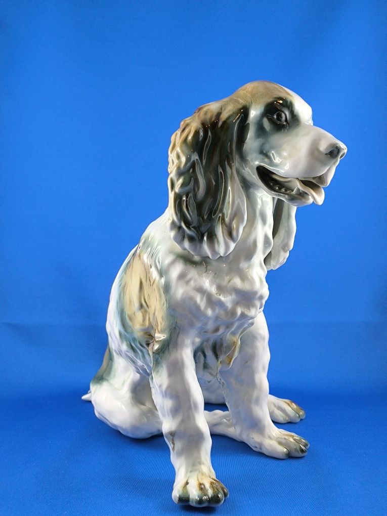 Spaniel Klausenburg Cervit Cluj Napoca 34cm #pies #porcelana #prezent