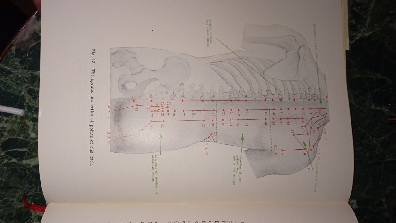 Essentials of Chinese Acupuncture. Foreign languages press