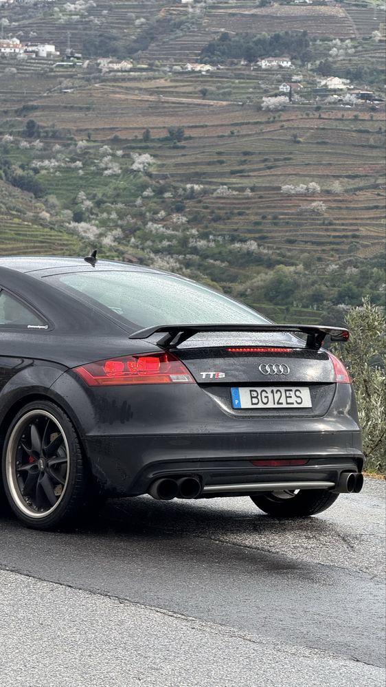 Audi TTS 8j 2009