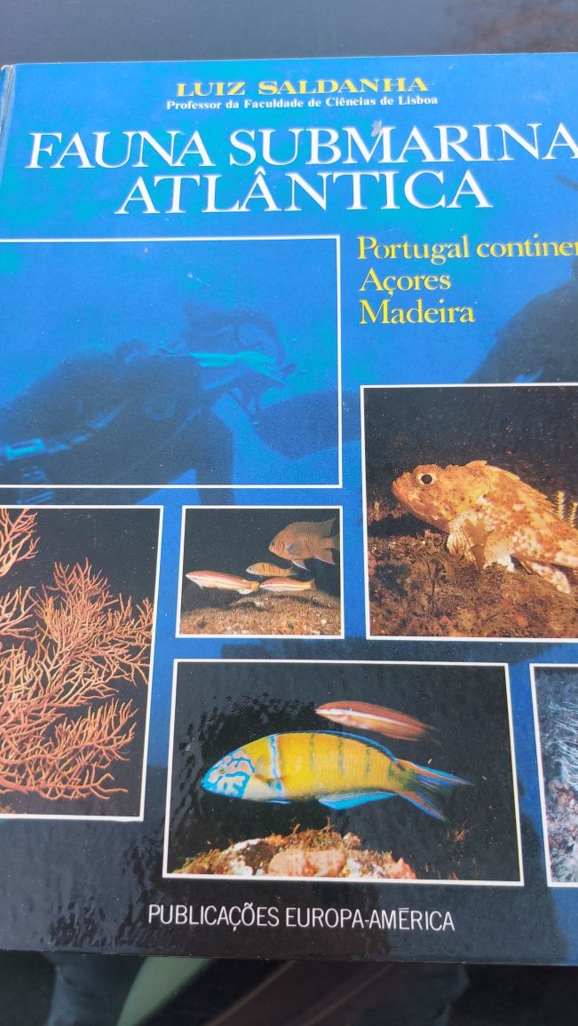 Fauna Submarina Atlântica de Luiz Saldanha