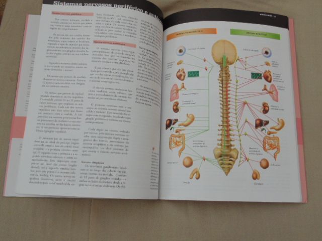 Manual de apoio ao estudante