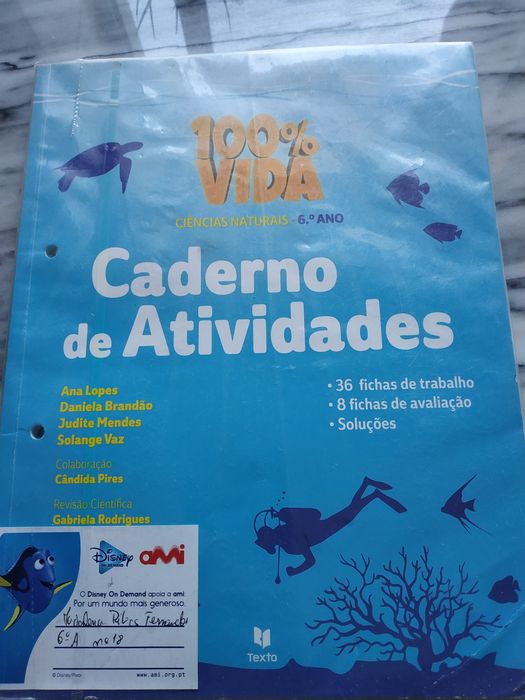Vendo livro de actividades 100% vida 6 ano