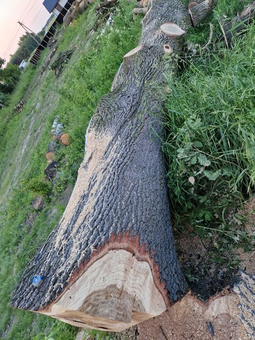 Kłoda Jesion Dąb  drzewo duże deski