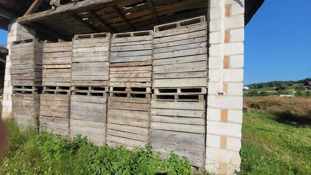 Skrzyniopalety drewniane na warzywa owoce drewno, solidne 250 szt.