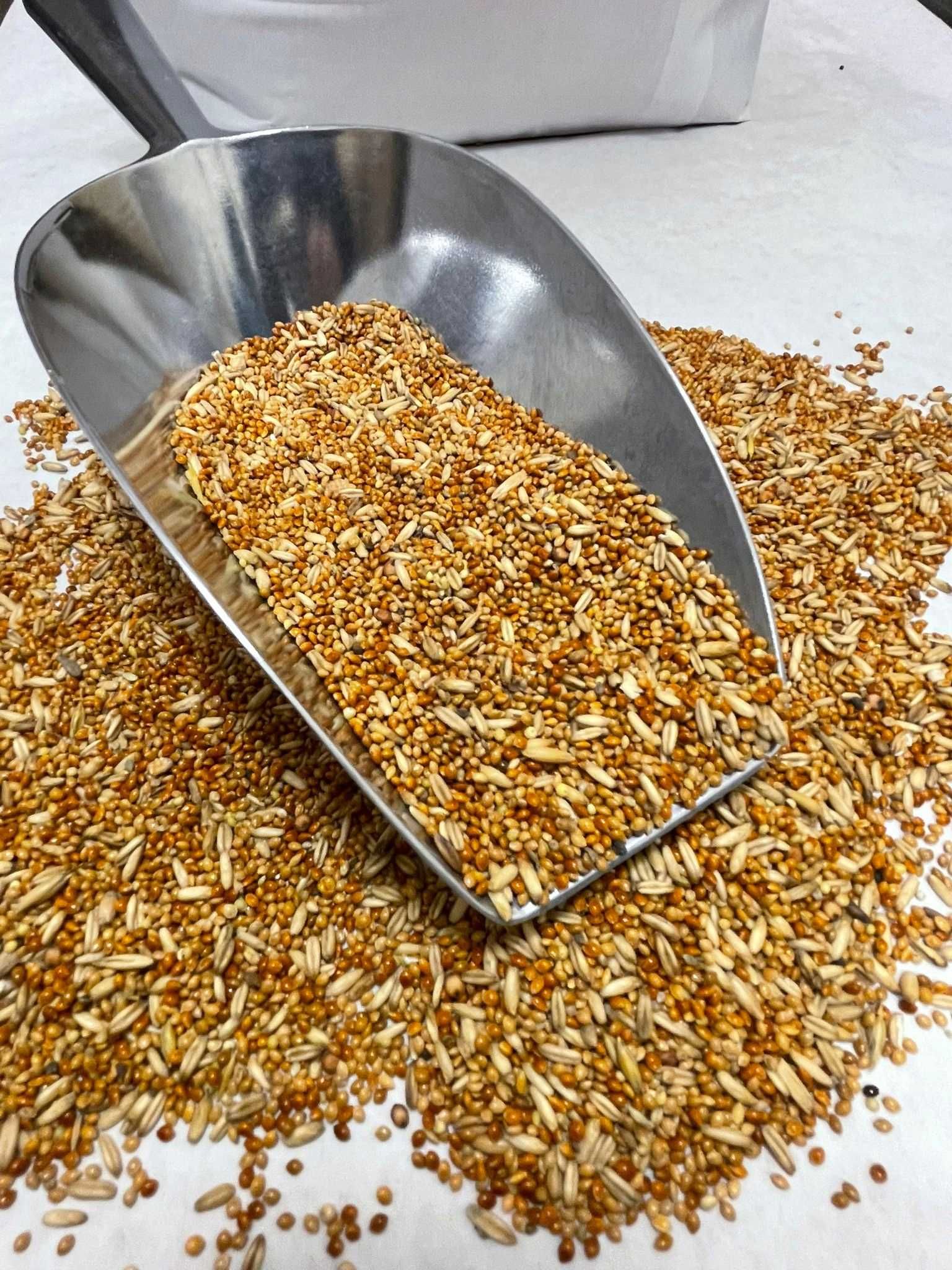 Mieszanka dla papug małych, średnich 10,20,25 KG GRATIS WYSYŁKA