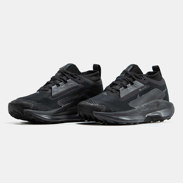 Кросівки Nike Pegasus Trail 5 Gore-Tex (Найк Гор-Текс кроссовки)