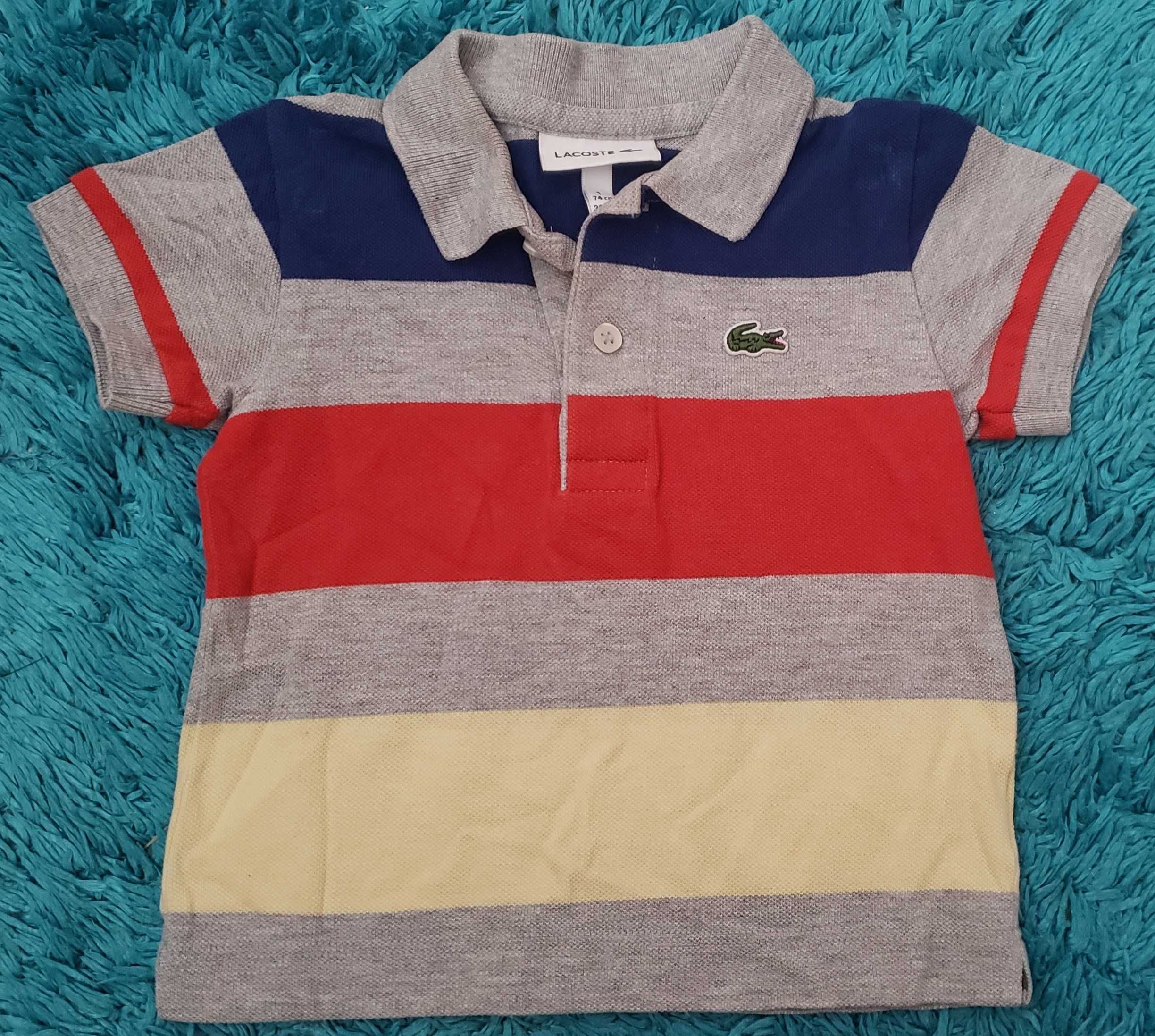 Polo lacoste criança 1 ano