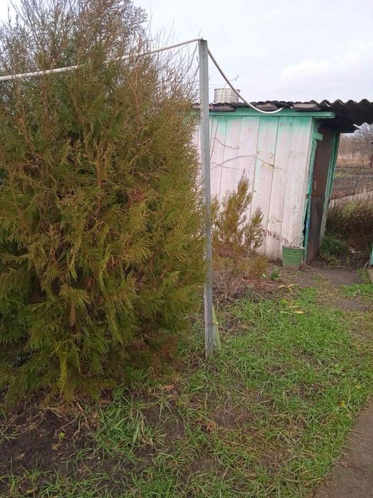 Продам дом/ участок 12 соток Андреевка