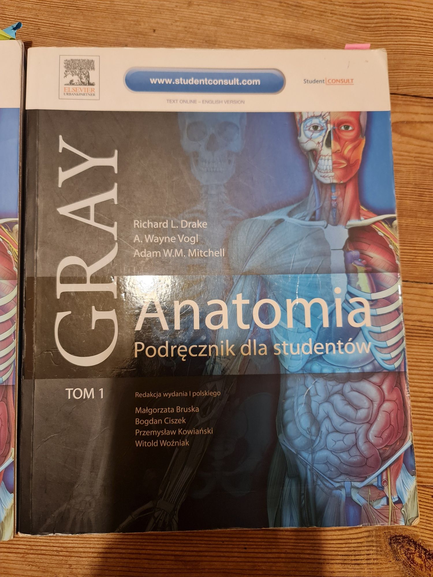 Anatomia Gray podręcznik dla studentów