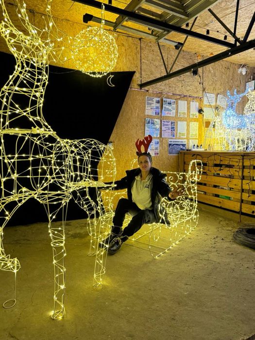 Олень новорічний, та Сані, в наявності власне виробгицтво фігур свято