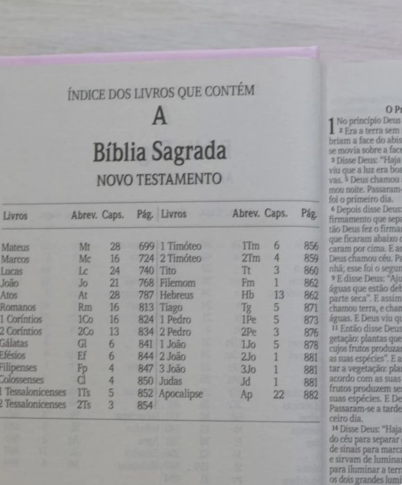 Bíblia Sagrada Lírios | NVI | Nova | Capa Dura Rosa