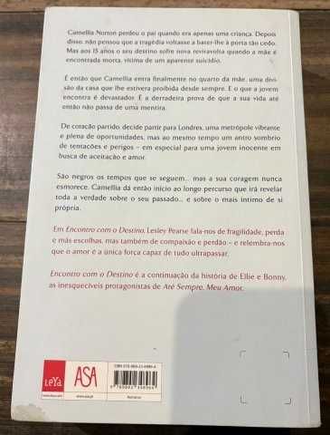 Encontro com o destino de Lesley Pearse