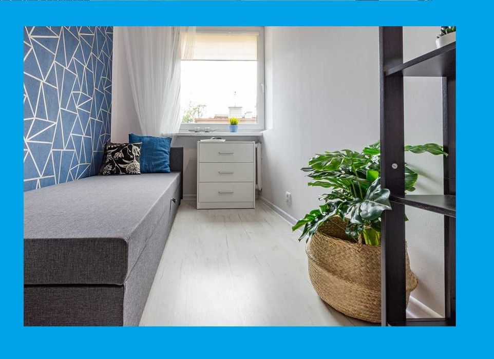 Pokój Centrum, Kościuszki, AWF, ASP