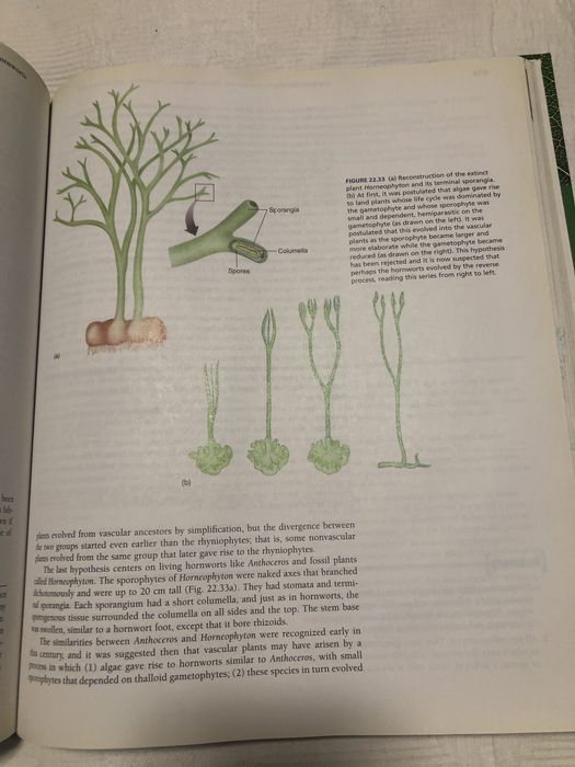 Livro Botâny Third Edition