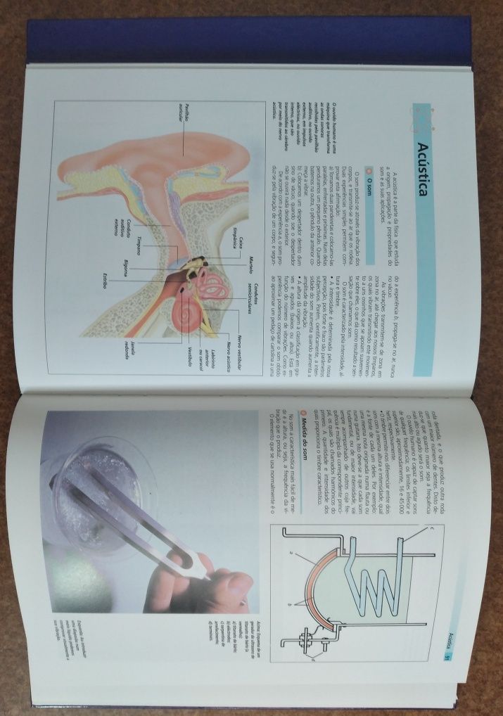 Física e Química - 2 livros novos