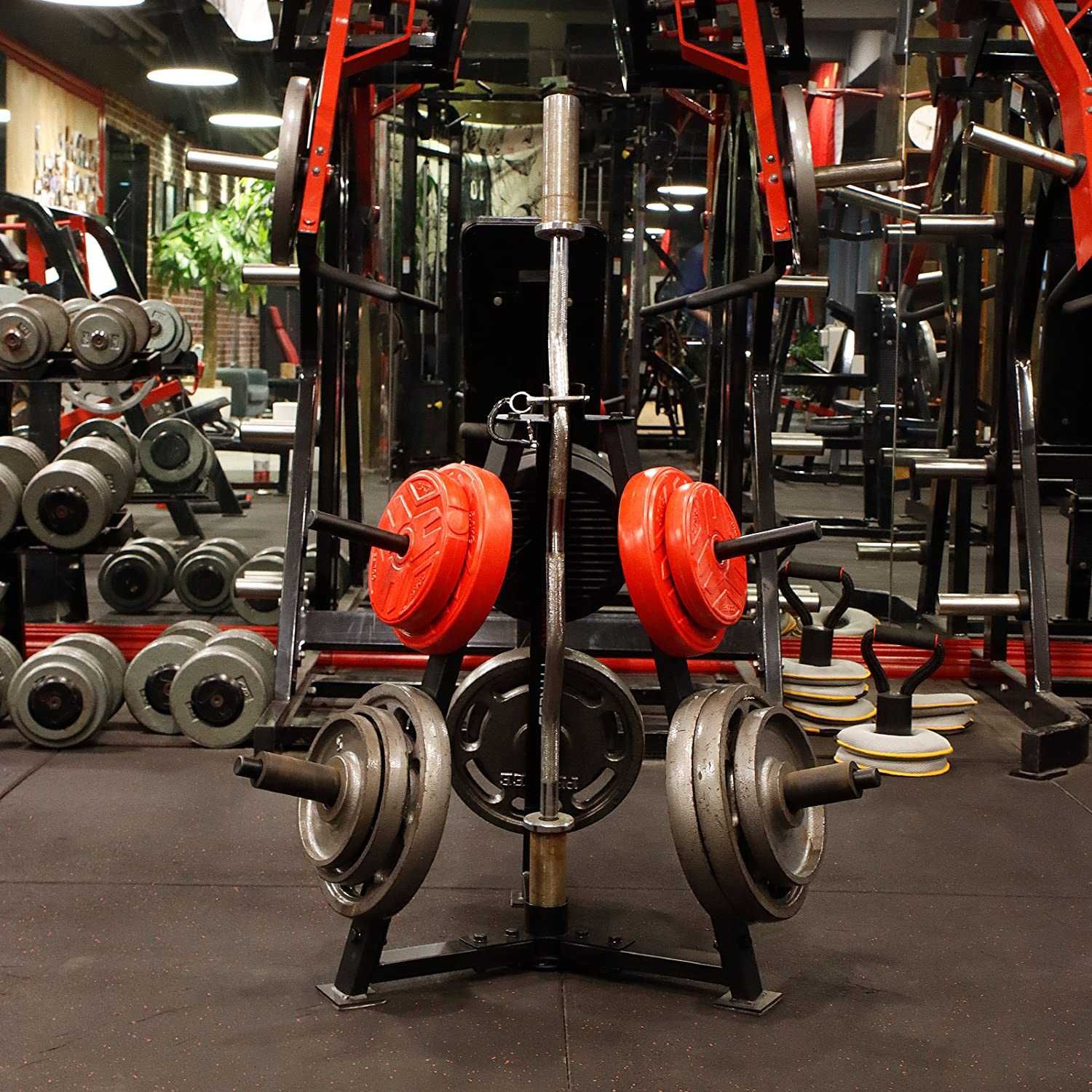 Suporte para discos de musculação e barra olímpica
