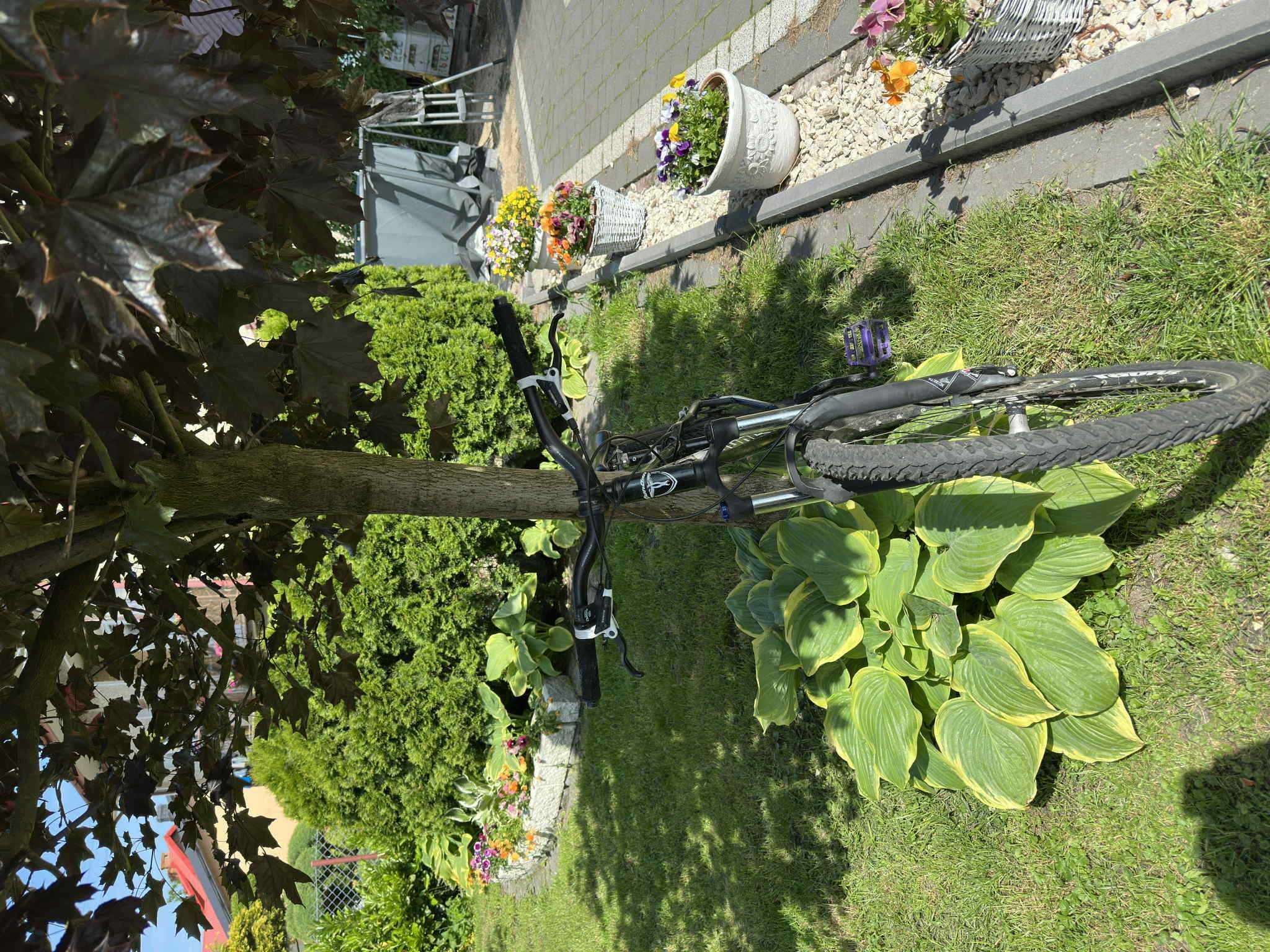 rower dirt (opis)