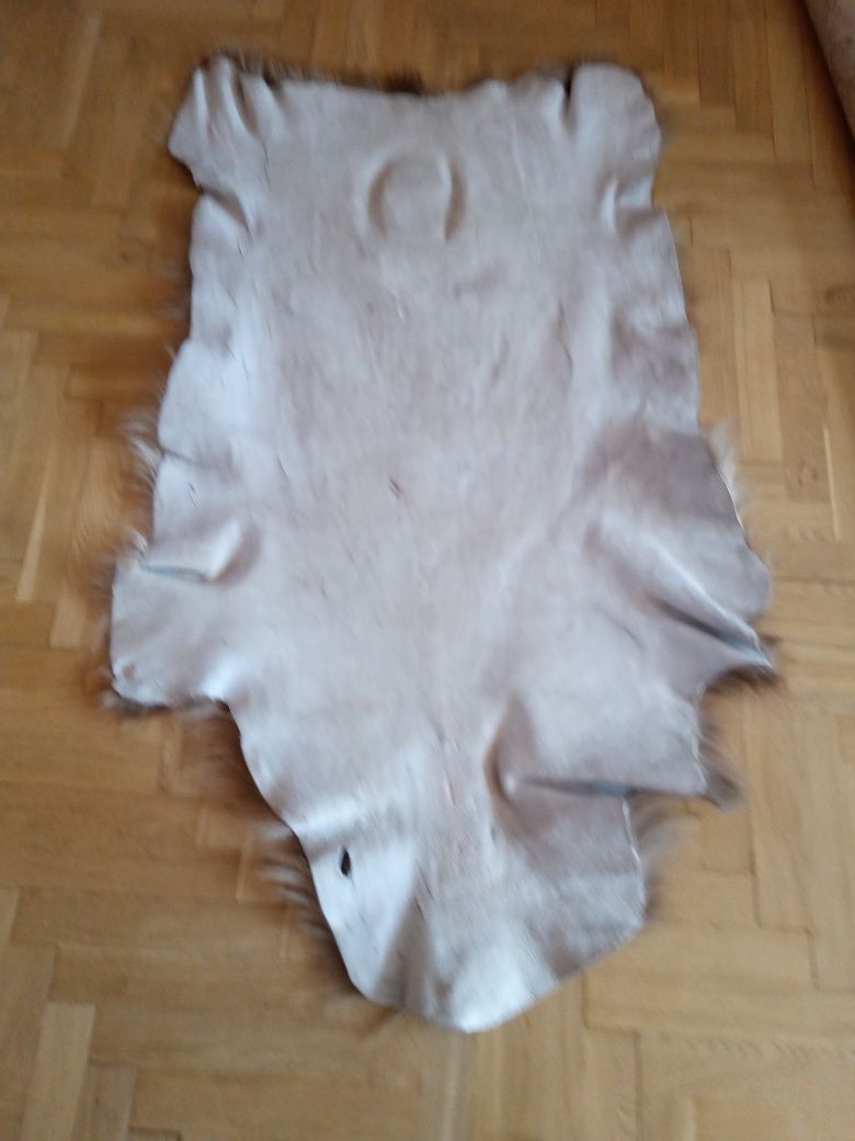 Skóra z owcy islandzkiej 136 x 85