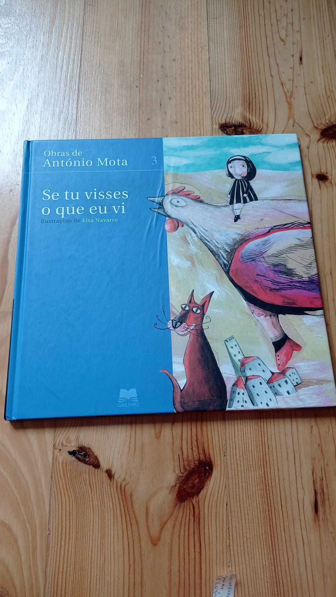 Se tu visses o que eu vi Livro António Mota