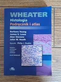 Podręcznik i atlas histologia Wheater
