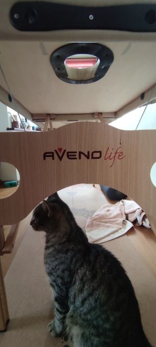 Profesjonalny masaż w Twoim domu – dla zapracowanych i obolałych