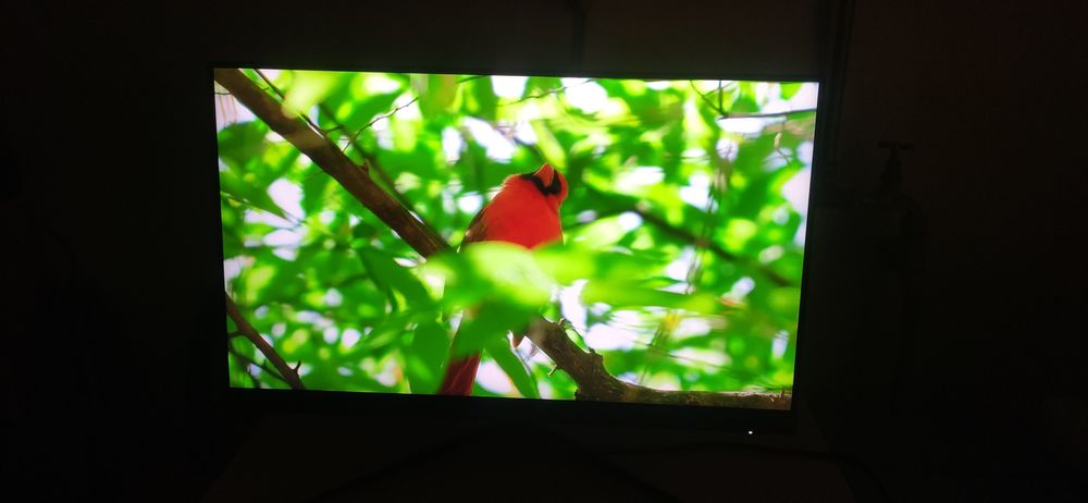 Ігровий монітор MSI G2412, 24', 170Hz, Full HD
