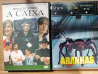 Aranhas  A Caixa Manoel Oliveira