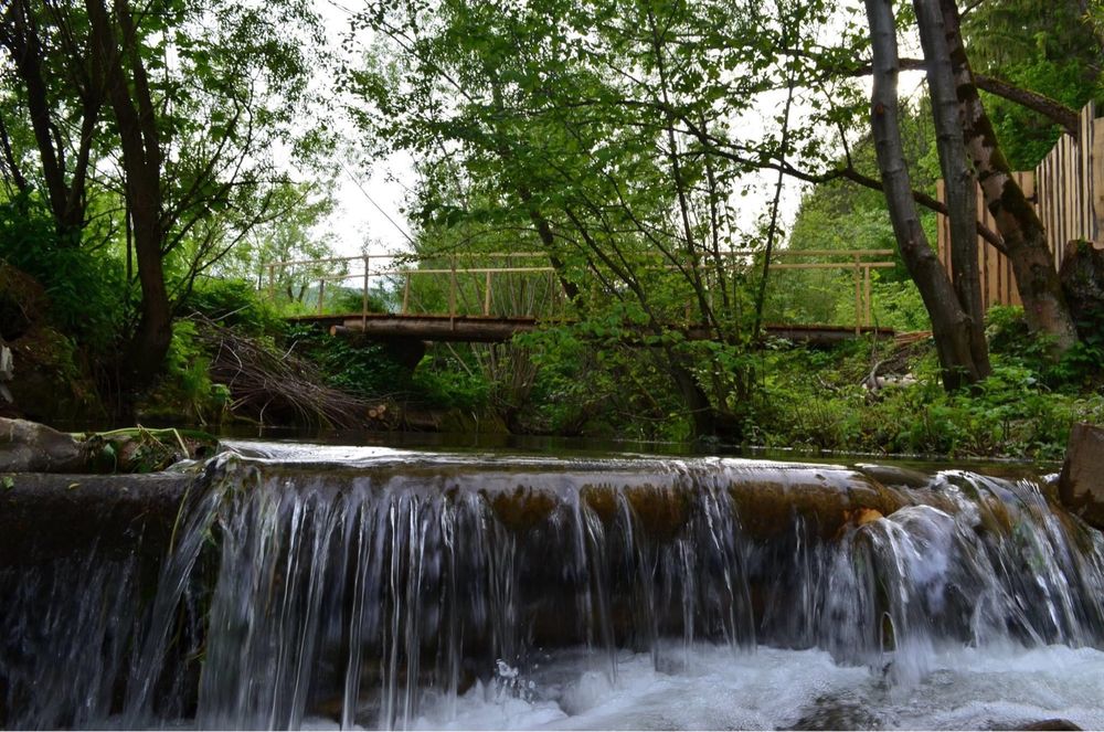 Відпочинок в Карпатах Садиба Пікуй Без Господарів ЧАН БАНЯ ФОРЕЛЬ