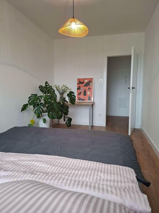 Nowe mieszkanie do wynajecia, 2 pokoje