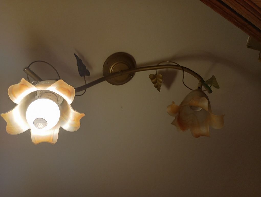 Lampa pokojowo salonowa