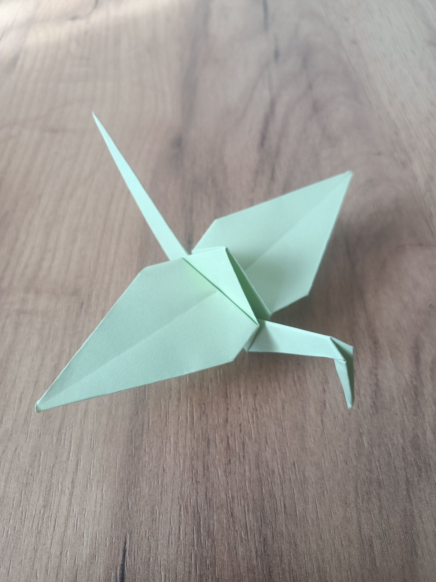 Żurawie origami 83szt. 6 kolorów (dekoracja)