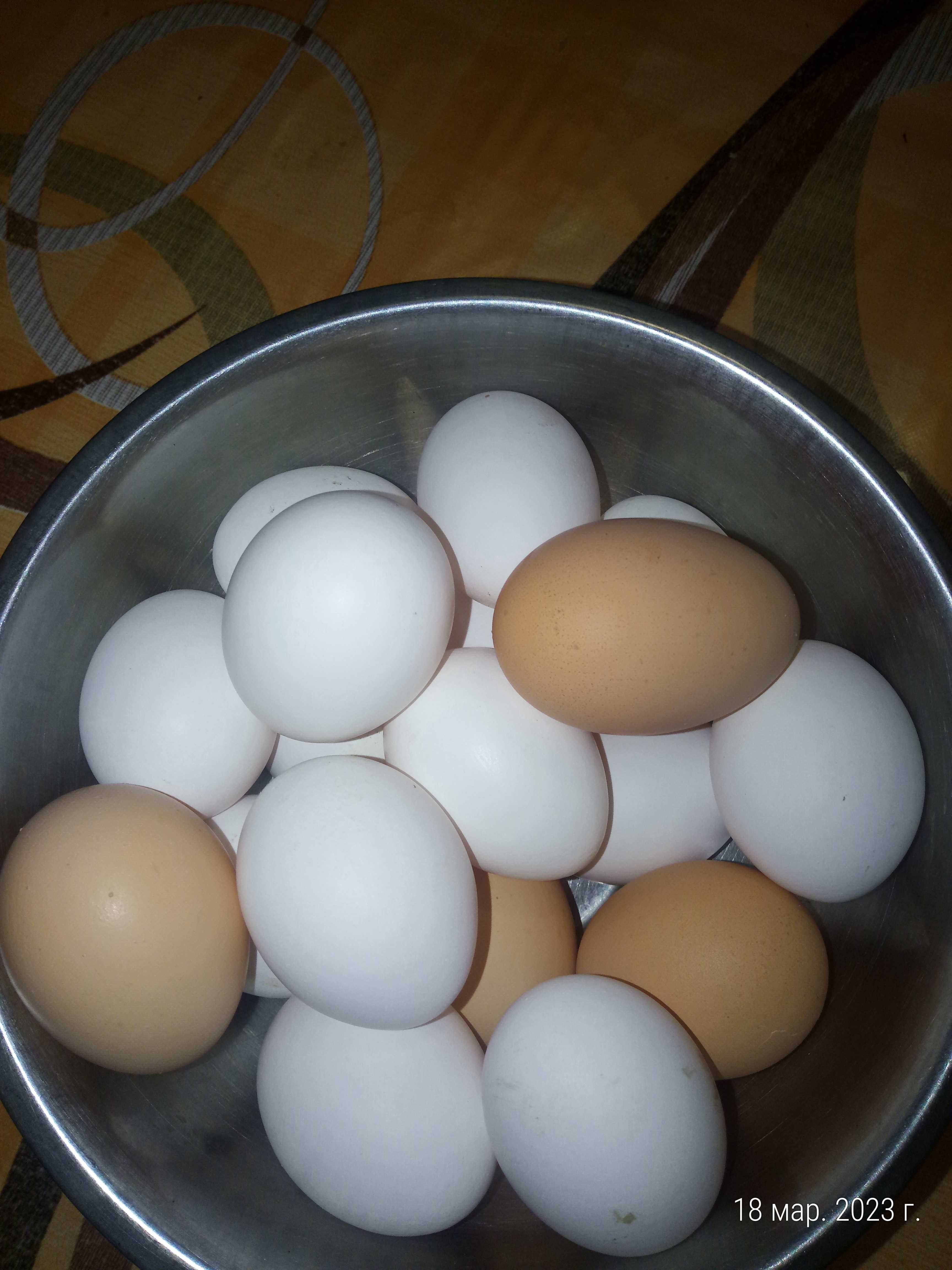 Продам свежие домашние яйца, яйця домашні