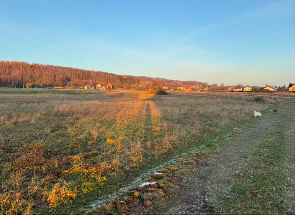 Dzialka budowlana Kalembina