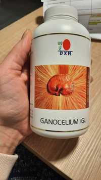 Dxn Ganocelium (GL) 360