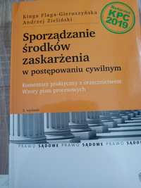 Sporządzanie środków zaskarżenia w cywilnym Flaga Zieliński