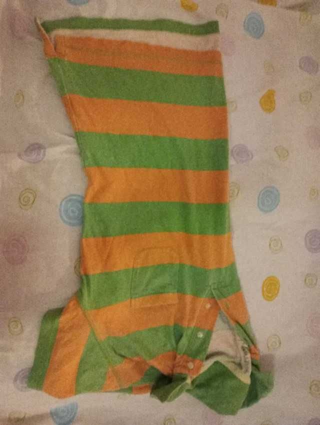 Polo laranja e verde