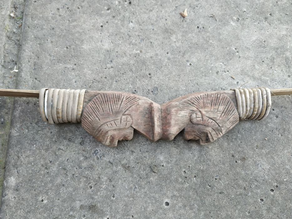 Лук декоративный