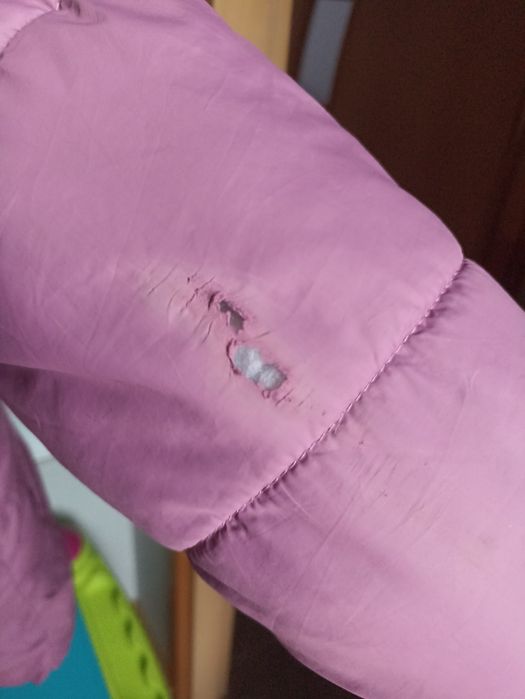 Kurtka z misiem Sinsay 140