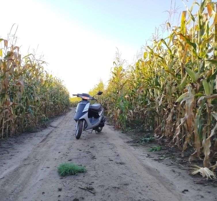 Хонда DIO AF18 SR