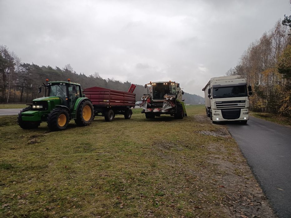Zbiór kukurydzy na ziarno/skup kukurydzy