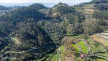 Quinta  para venda
