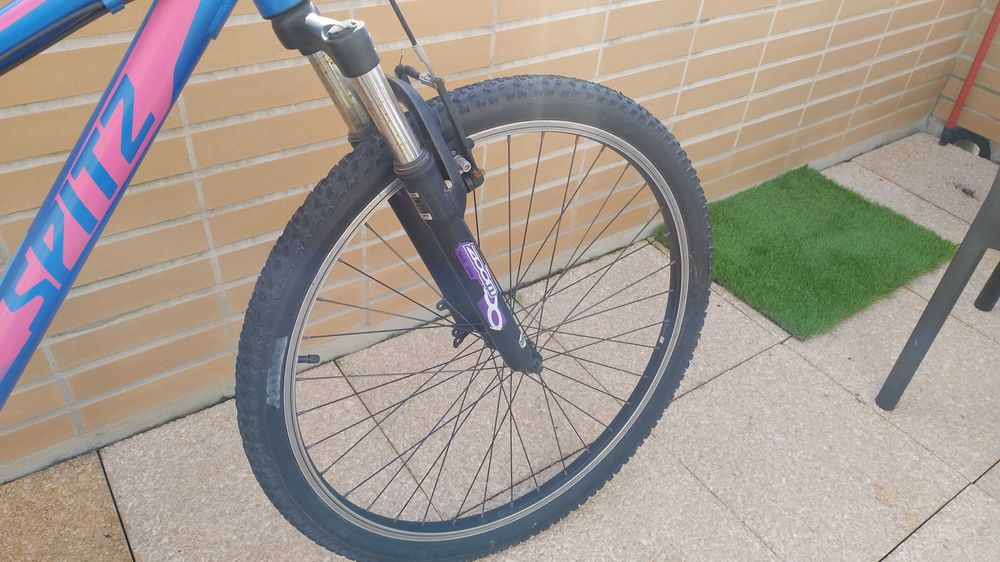 Bicicleta Spitz Terrain 10