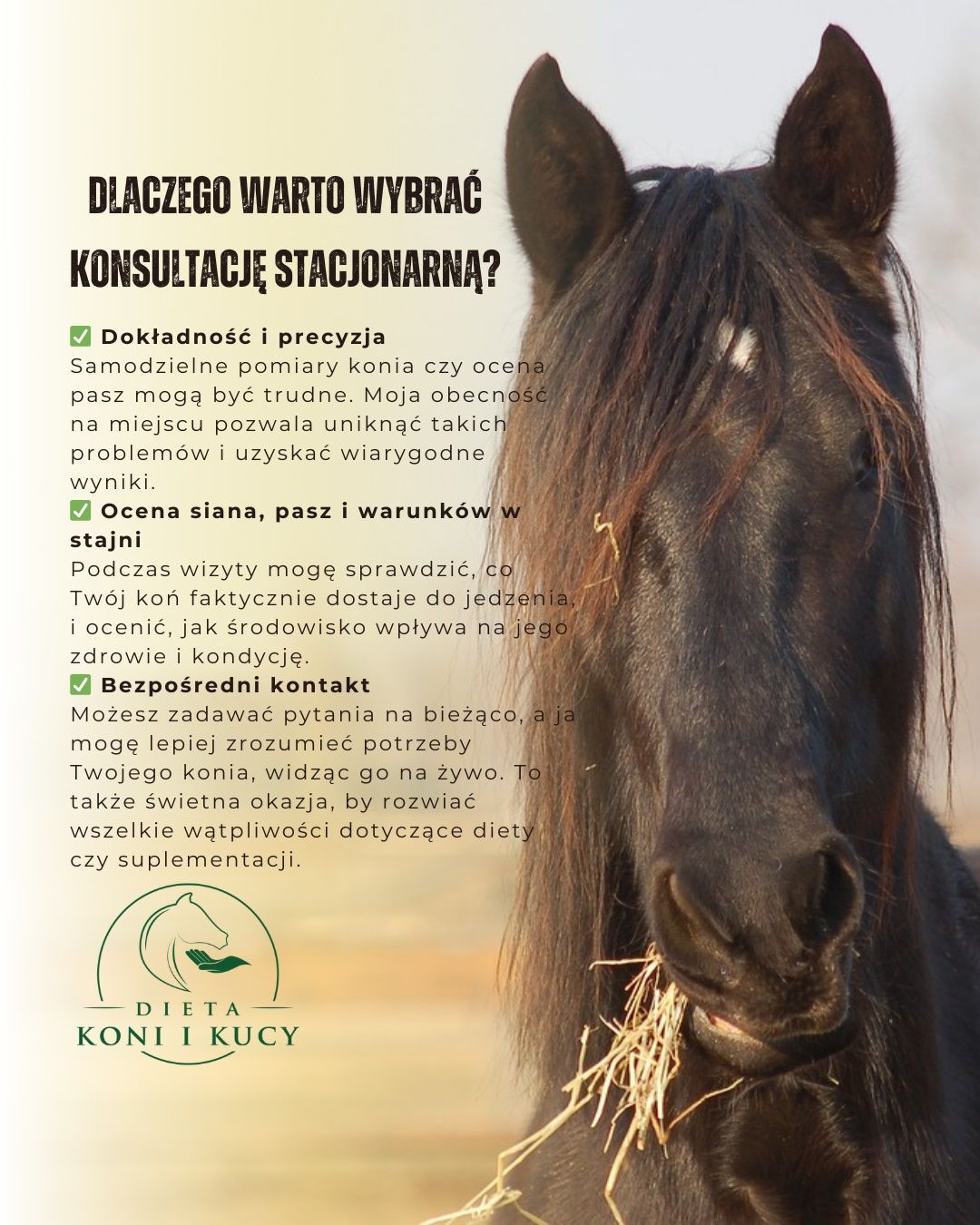 Doradztwo żywieniowe dla koni