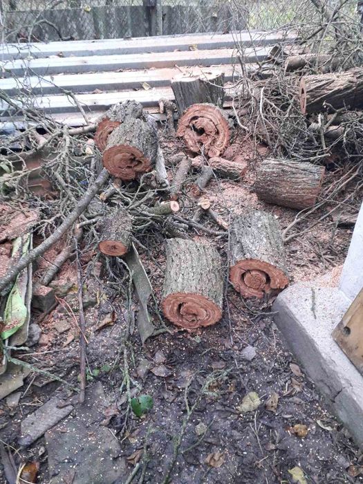 Видалення дерев Корчування пнів Благоустрій