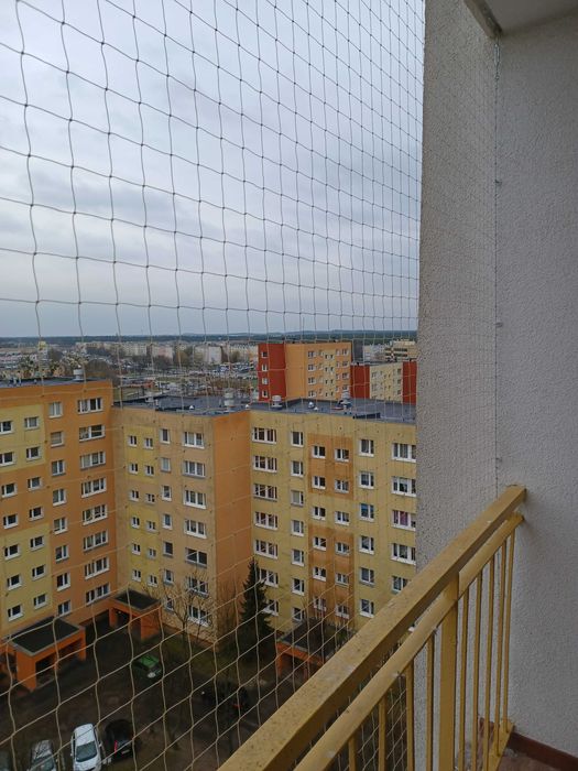 Sprzątanie i dezynfekcja balkonu, zabezpieczenia przeciw ptakom