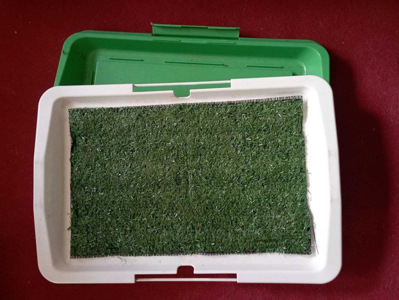 Tabuleiro para caes