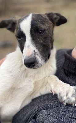 Знайдись, родина!